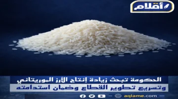 اجتماع حكومي موسع يبحث آليات تعزيز وتطوير إنتاج الأرز في موريتانيا